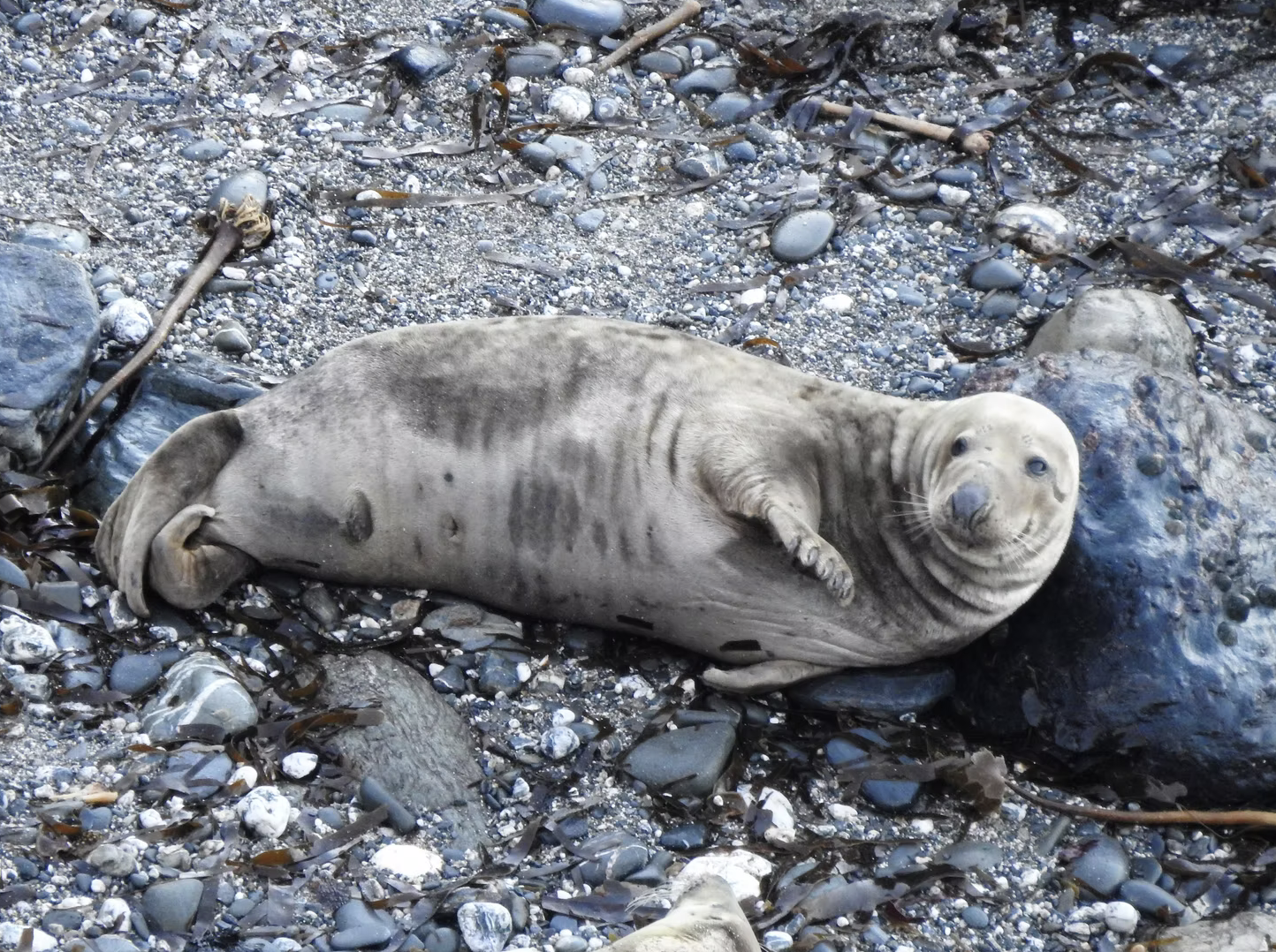 Protecting Coastal Ecosystems